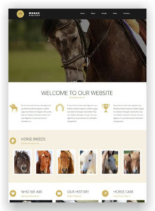 Website Template for Horse Breeding Farm
