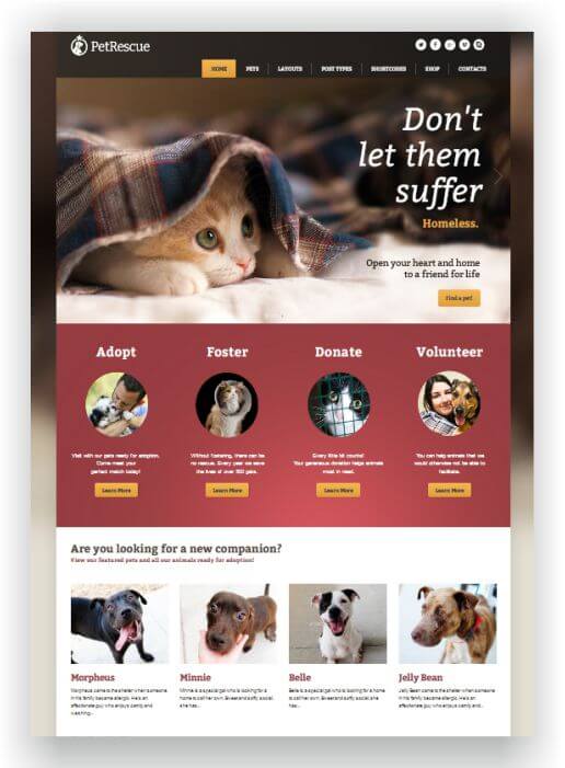 WordPress Animal Shelter Theme