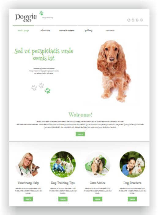 Hundeschule Webseite