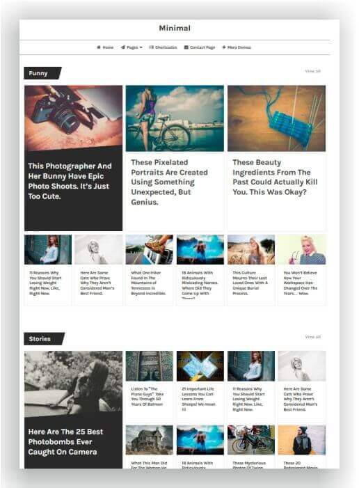 WordPress minimalistic Magazine Theme